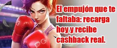 Recarga Diaria de Energía